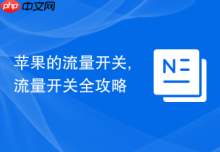 苹果的流量开关,流量开关全攻略