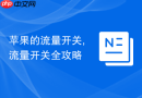 苹果的流量开关,流量开关全攻略