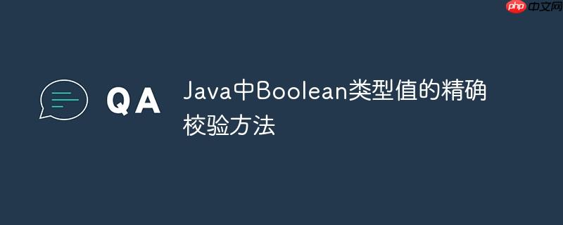 java中boolean类型值的精确校验方法