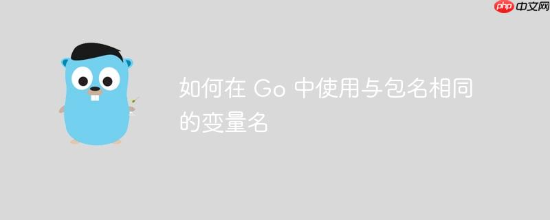如何在 go 中使用与包名相同的变量名