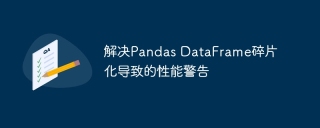 Solve performance warnings caused by fragmentation of Pandas DataFrame
