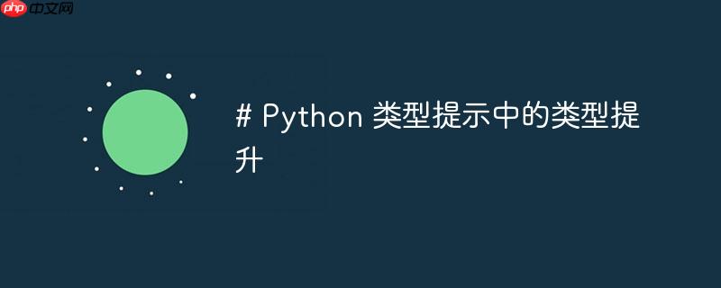 # Python 类型提示中的类型提升

