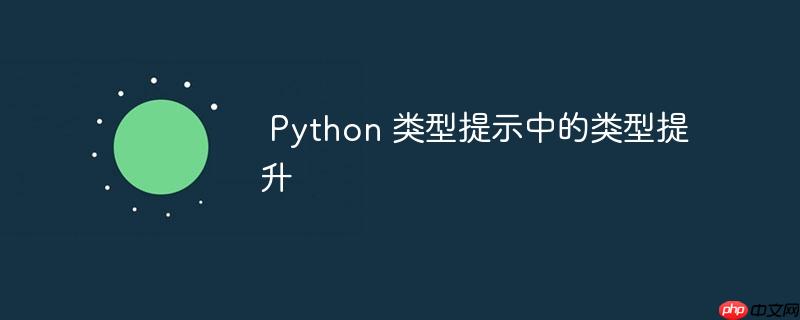  Python 类型提示中的类型提升

