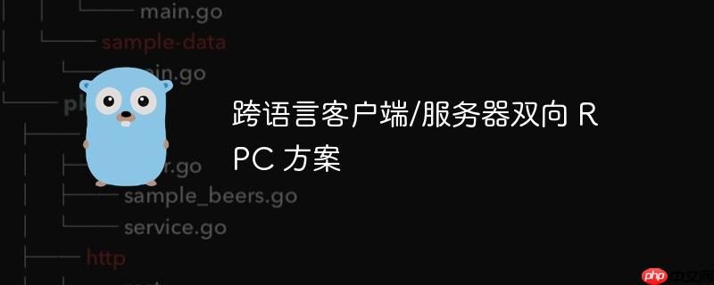 跨语言客户端/服务器双向 RPC 方案-小浪学习网