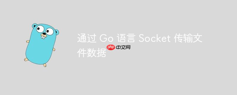 通过 go 语言 socket 传输文件数据
