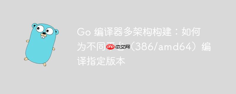 Go 编译器多架构构建：如何为不同平台（386/amd64）编译指定版本