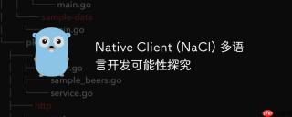 Native Client (NaCl) 多语言开发可能性探究