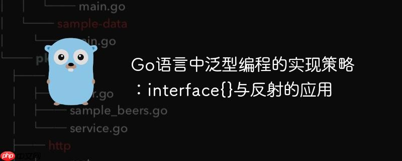 Go语言中泛型编程的实现策略：interface{}与反射的应用