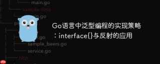 Go语言中泛型编程的实现策略：interface{}与反射的应用
