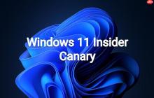 Windows 11更新：解放空间、提升体验，移除地图和电影应用