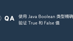 Verify True and False values accurately using Java Boolean types