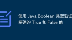 Verify exact True and False values using Java Boolean types