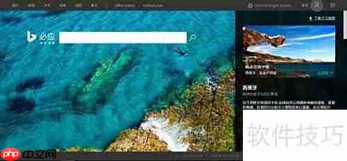 获取必应搜索美图技巧