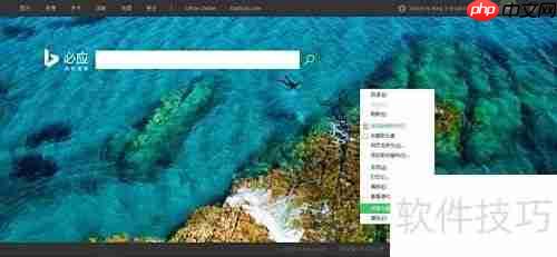 获取必应搜索美图技巧