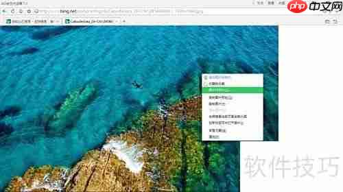 获取必应搜索美图技巧