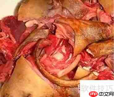 生焖竹鼠：地道美味做法