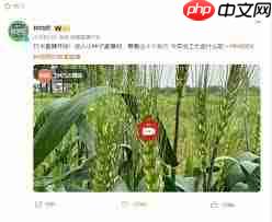 种地吧直播在哪个平台