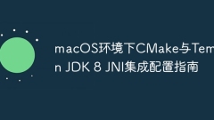 CMake and Temurin JDK 8 JNI Integration Configuration Guide in macOS Environment