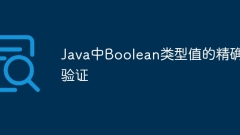 Accurate verification of Boolean type value in Java