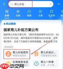 国家育儿补贴官网入口在哪