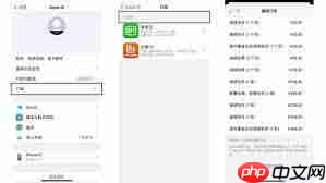 苹果手机如何取消订阅功能