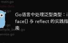 Go语言中处理泛型类型：interface{} 与 reflect 的实践指南