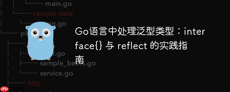 Go语言中处理泛型类型：interface{} 与 reflect 的实践指南
