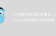 Go语言中处理泛型需求：interface{}与反射的实践指南