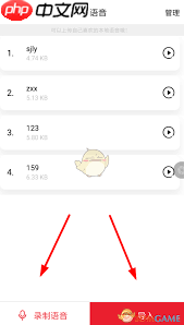很皮语音包APP如何导入游戏