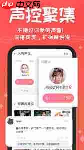 很皮语音包APP如何导入游戏