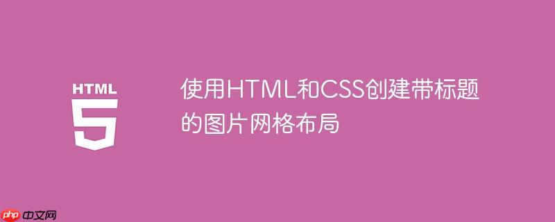 使用HTML和CSS创建带标题的图片网格布局-小浪学习网