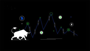 What is the golden ratio in the currency circle? How to use Fibonacci Gold Pocket?