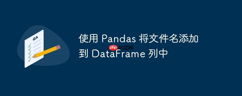 使用 pandas 将文件名添加到 dataframe 列中