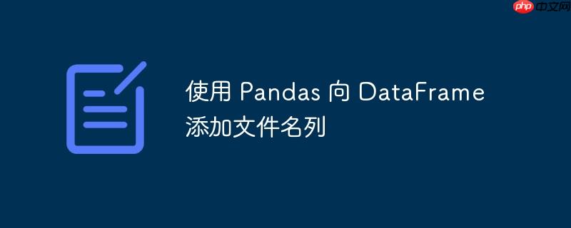 使用 pandas 向 dataframe 添加文件名列