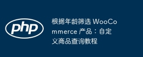 根据年龄筛选 WooCommerce 产品:自定义商品查询教程