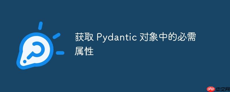 获取 pydantic 对象中的必需属性