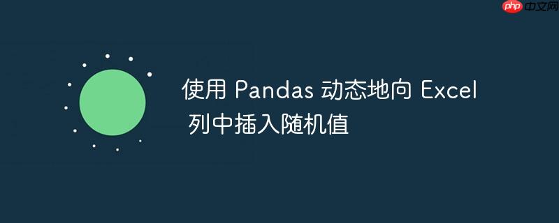 使用 pandas 动态地向 excel 列中插入随机值