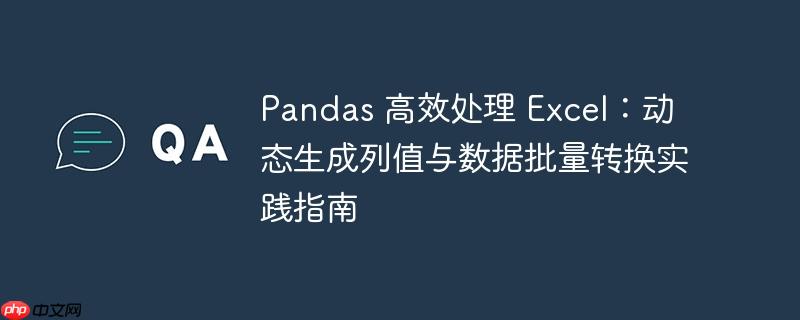 Pandas 高效处理 Excel：动态生成列值与数据批量转换实践指南
