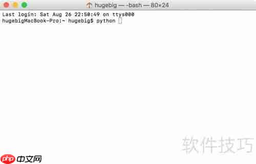 Python控制台运行脚本