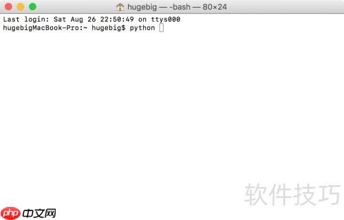 Python控制台运行脚本
