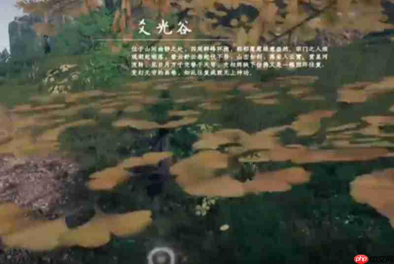 下一站江湖2七星棋局怎么玩 七星棋局玩法规则详解