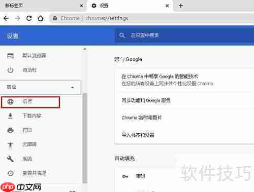 谷歌浏览器翻译功能消失