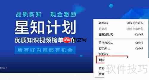 谷歌浏览器翻译功能消失