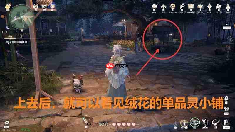 无限暖暖且寄浮生梦任务 与单品灵拍照怎么做攻略