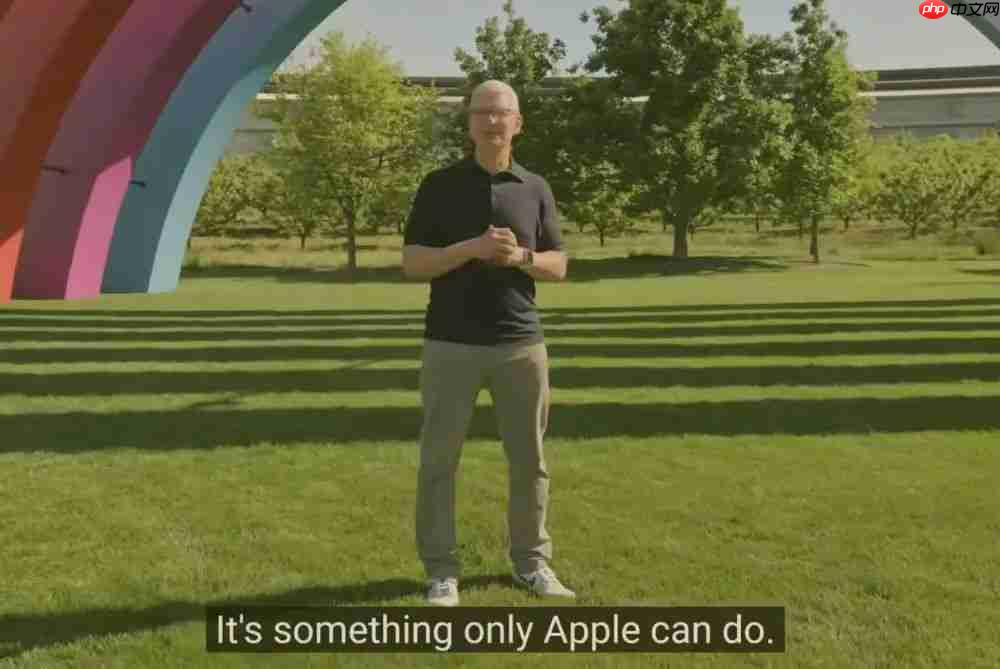  苹果 AI 今年能上吗 