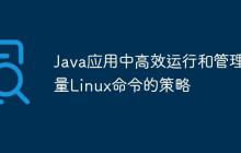 Java應(yīng)用中高效運(yùn)行和管理大量Linux命令的策略