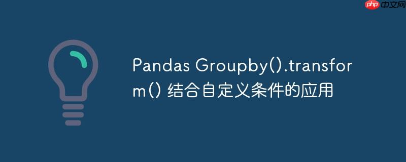 pandas groupby().transform() 结合自定义条件的应用