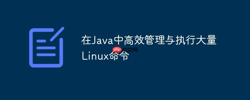 在Java中高效管理与执行大量Linux命令
