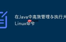 在Java中高效管理與執(zhí)行大量Linux命令