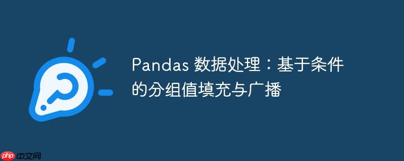 Pandas 数据处理：基于条件的分组值填充与广播
